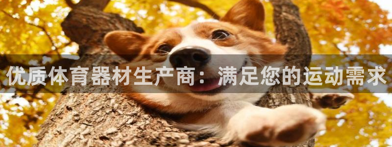 富联平台官网:优质体育器材生产商:满足您的运动需求