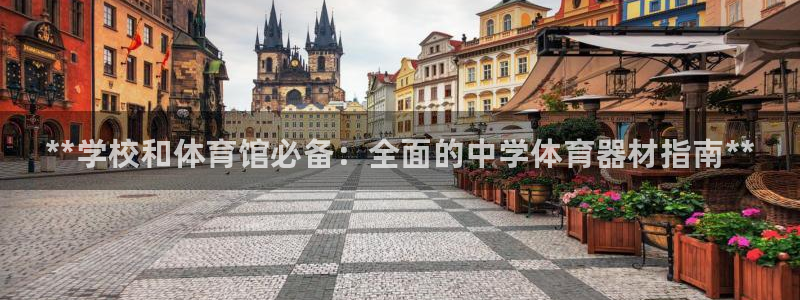 富联平台官网登录入口:**学校和体育馆必备:全面的中学体育器