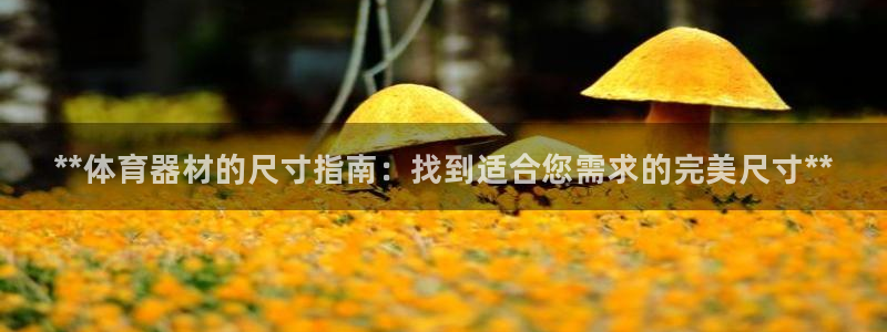 富联平台挂机怎么操作:**体育器材的尺寸指南:找到适合您需求