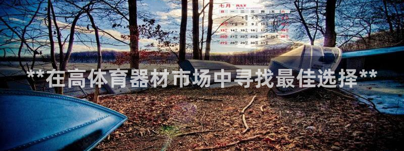 富联平台按7O777:**在高体育器材市场中寻找最佳选择**